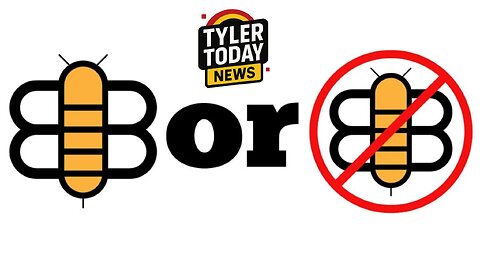 The Bee or Not The BEE segment #1 | TTN