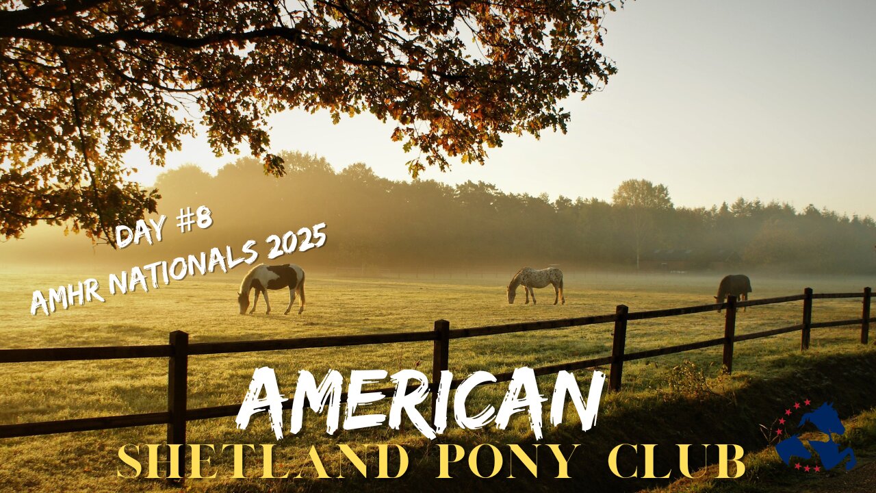 AMHR Nationals 2025 (Day #8) Ford Arena 9/11/2025