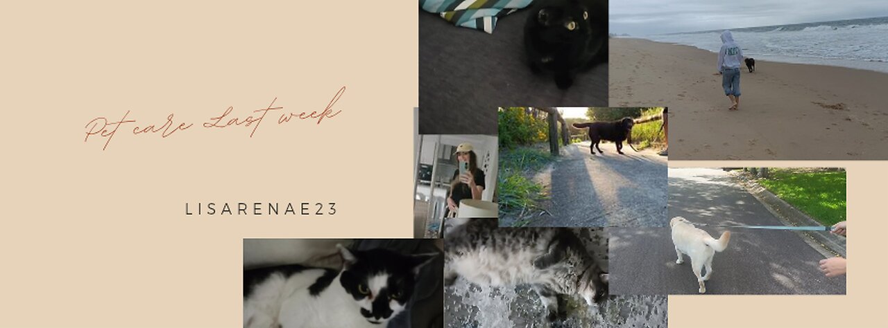 Petcare for the Week - Sunday Coast