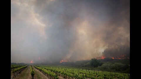 In Israel Wildfires Near Jerusalem Prompt Evacuations and International Aid