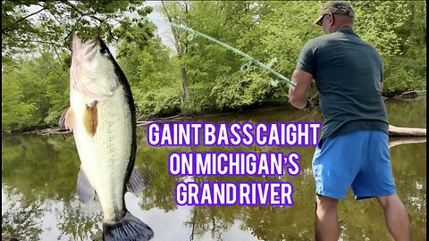 GIANT BASS Attacks My Lure! Heart-Stopping Moment Michigan’s Grand River Fantastic murky water lure