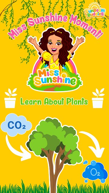 Learn About Plants for Kids! 🌳
