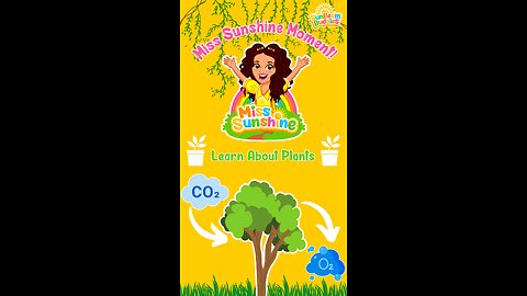 Learn About Plants for Kids! 🌳