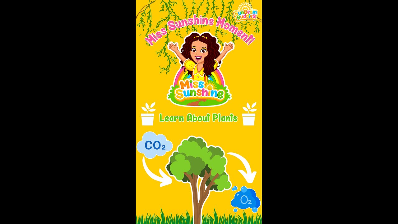 Learn About Plants for Kids! 🌳