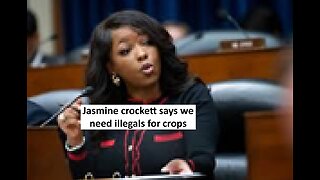 Jasmine Crockett says we need illegals to pick cotton