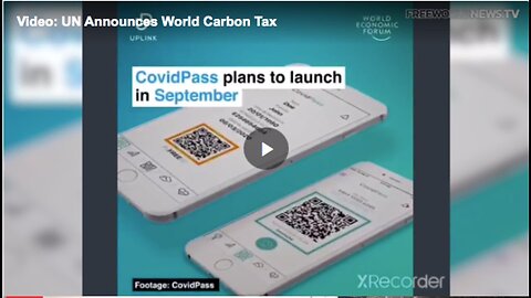 "Understanding the UN's Announcement of a Global Carbon Tax"