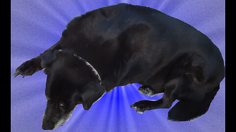 PostAfterThoughts LIVE 2025-06-13