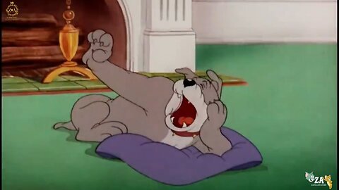Tom and Jerry Cartoons