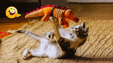 2025’s Funniest Dogs & Cats 😂 You Won’t Stop Laughing! | You Laugh You lose 😍😸😹 #Ep85