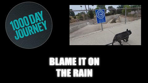 1000 Day Journey 0734 Blame it on the Rain