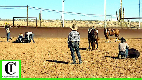 Stray Gathering - 2025 Lowell Goemmer Memorial Ranch Rodeo