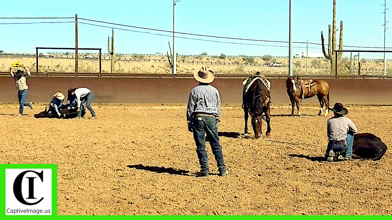 Stray Gathering - 2025 Lowell Goemmer Memorial Ranch Rodeo