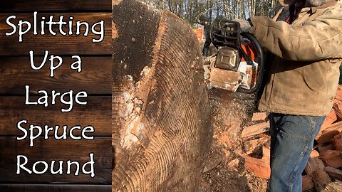 Turning a Large Spruce Round Into Firewood