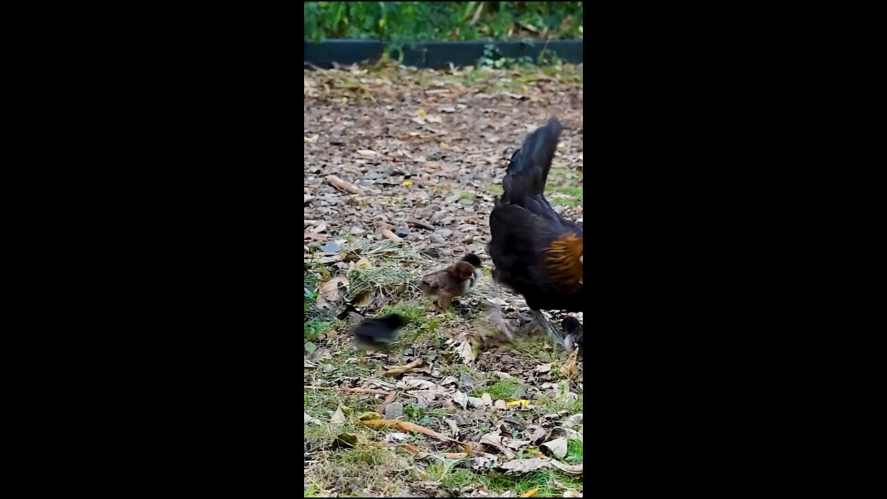 Daily Verse April 14th 2025