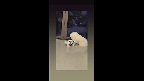 मुझे गोदी मे बैठना है