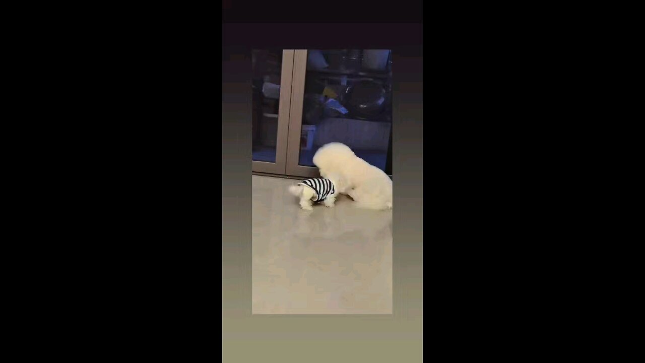 मुझे गोदी मे बैठना है