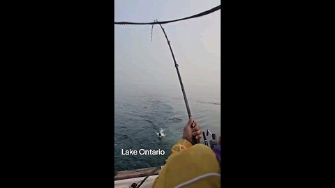 Summer 2025- Lake Ontario - Salmon & Rainbow Trout Fishing