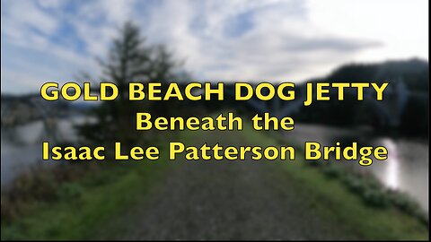 DAILY TRAVEL LOG: GOLD BEACH DOG JETTY Beneath the Isaac Lee Patterson Bridge.