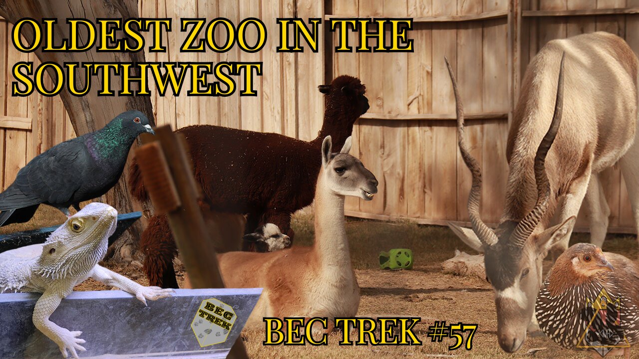 Taking A Stroll Through The Park | Alameda Park Zoo | BEC TREK Episode 57