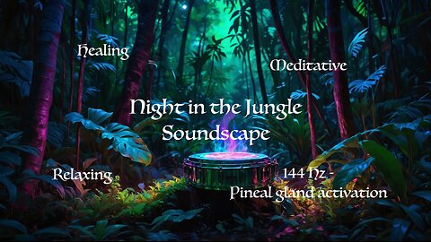 Night in the Jungle - 144 Hz Soundscape