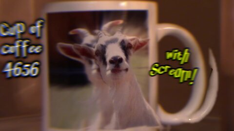 Cup of Coffee 4656---Have You Ever Had An Amazon 'Mandela Effect' Experience?