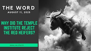 Why Did The Temple Institute Reject The Red Heifers?