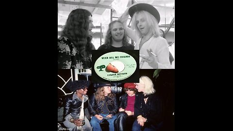 Need All My Friends-- Lynyrd Skynyrd