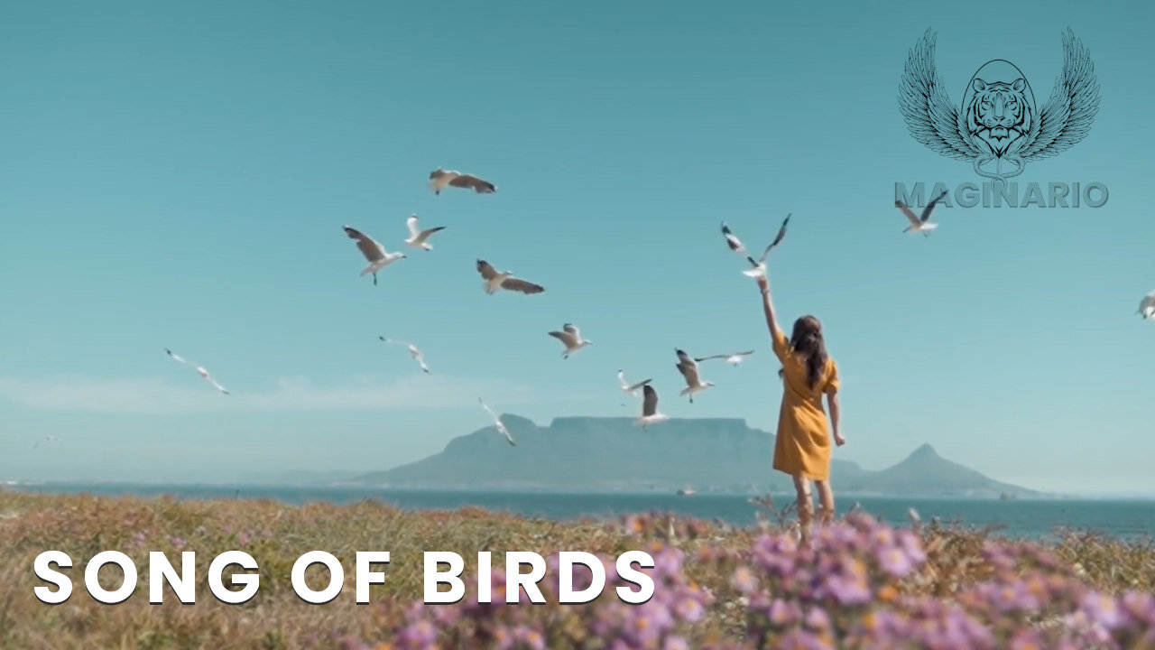 Song of Birds - Boost your Creative Thinking with Imagination Scenarios