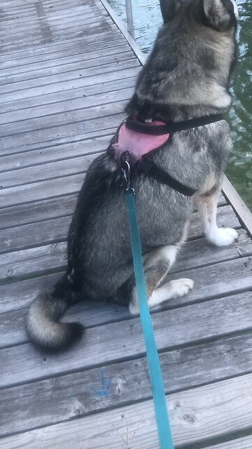 Thursday August 15, God has given us both his promise and his oath.