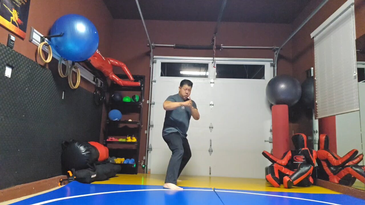 WTD 2 Step Kick Combination 175