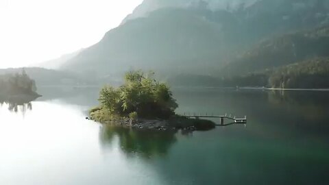 nature video
