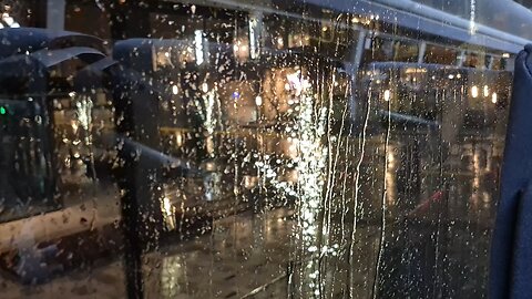 Christmas bus to Lynnwood from Bellevue 535