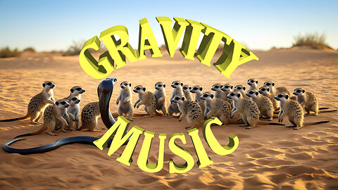 The Kalahari Kats - Kalahari Kats (Official Music Video)