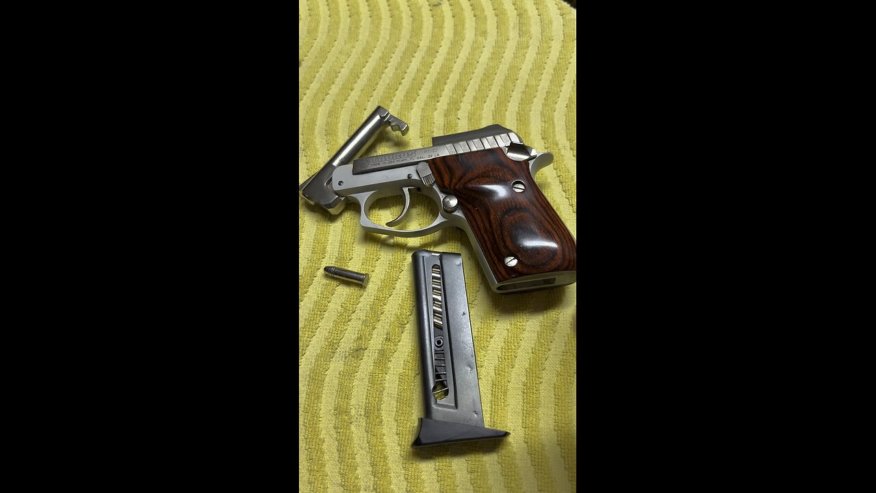 Taurus PT 22