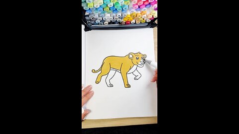 Incredible lion sketching and colouring