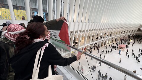 Pro-Palestine Protesters Enter World Trade Center Oculus in New York