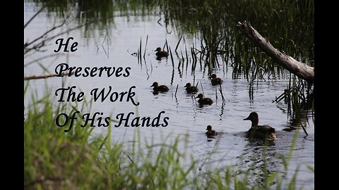 Preserve The Work Of His Hands