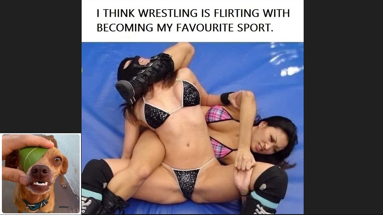 Meme compilation Episodes 346-350.