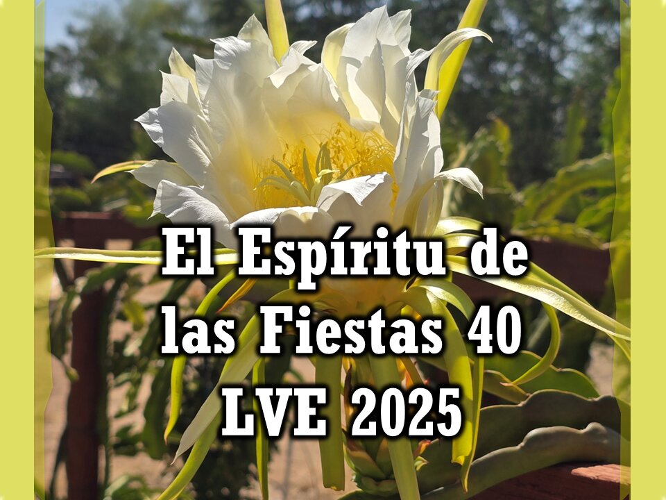 El Espíritu de las Fiestas 40