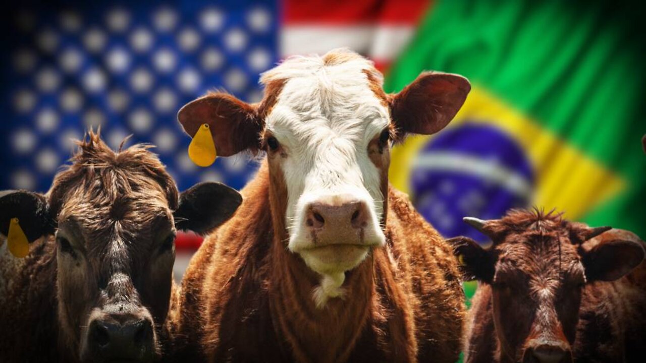 Top Cattle Rancher Exposes the Brazilian Beef Trade War Upending American Ranching