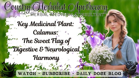 Key Medicinal Plant: Calamus: The Sweet Flag of Digestive and Neurological Harmony