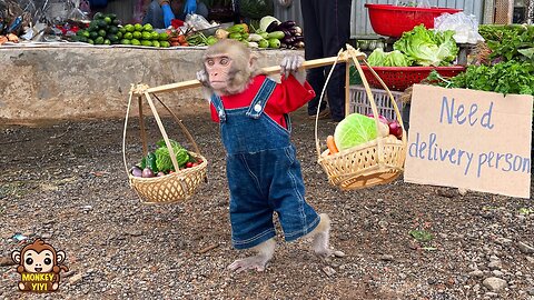 YiYi delivers vegetables to earn money to apologize to the farmer