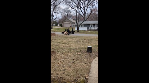 what's that song who let The dogs out?
