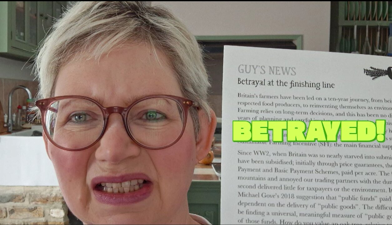 NEWS FROM THE FARM: Betrayal at the Finishing Line!