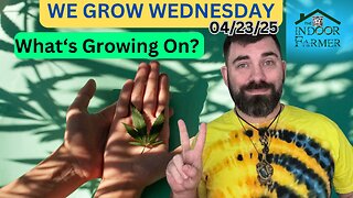 We Grow Wednesday 4/23/25, Judge Waylon Once Again Passing Judgement