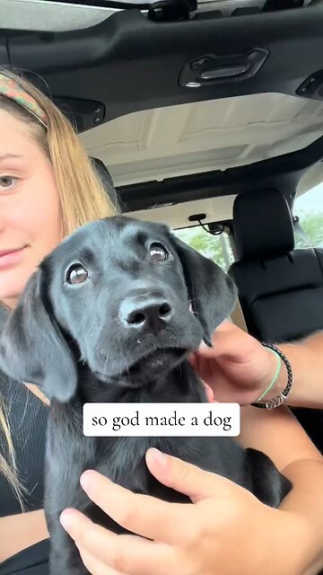 Love All Life Always #513 - So God Made A Dog