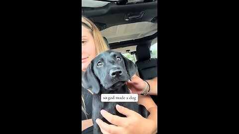 Love All Life Always #513 - So God Made A Dog