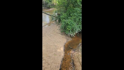 let's go to the creek