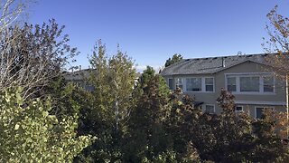 A morning day outside
