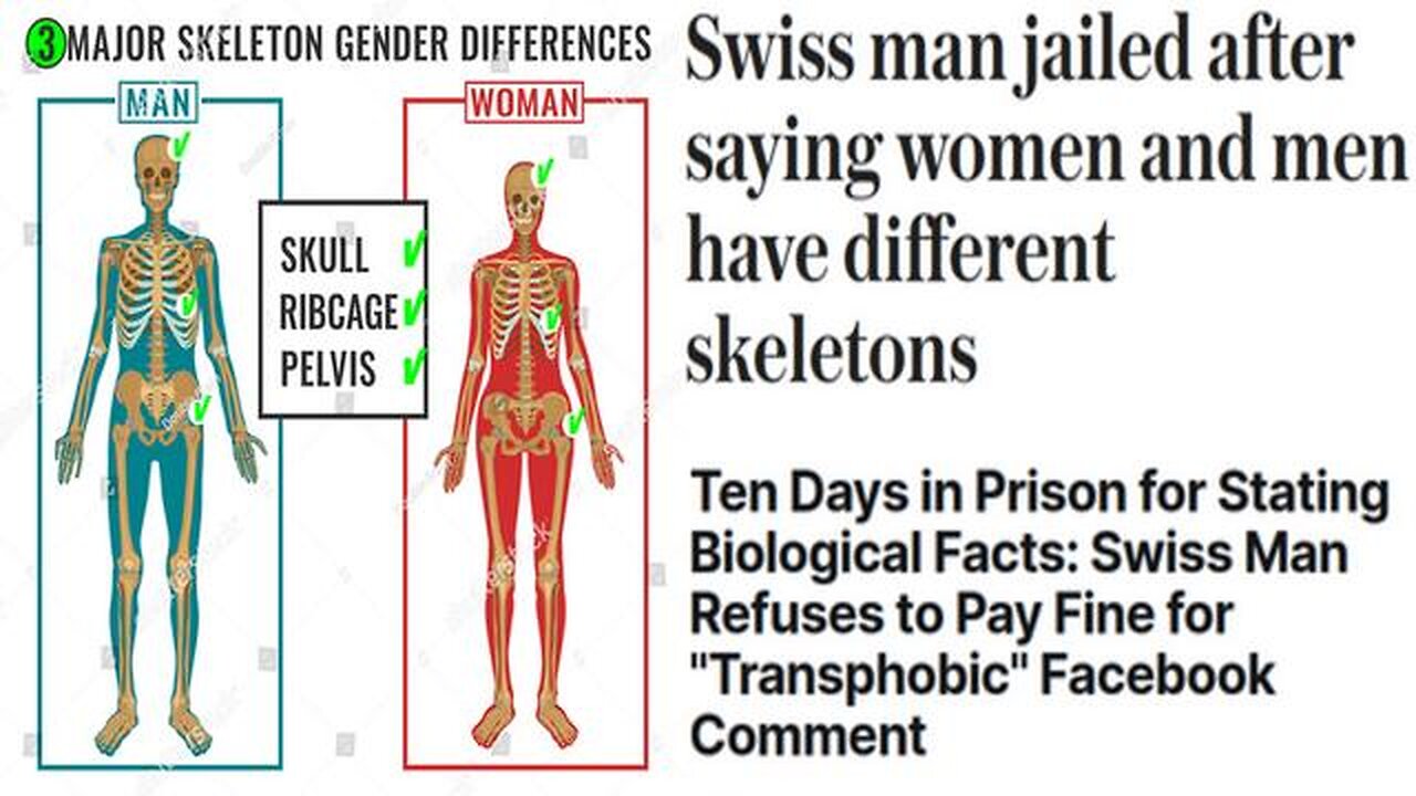 Swiss Man Jailed After Saying Women And Men Have Different Skeletons